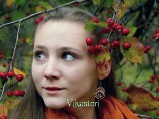 Vikastori