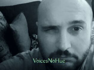 VoicesNoHue