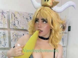 Vanelopebonsweet