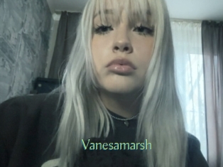 Vanesamarsh