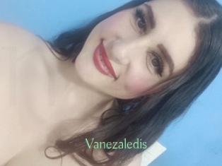 vanezaledis Motion X