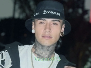 Vectorx073