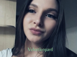 Velvetleopard
