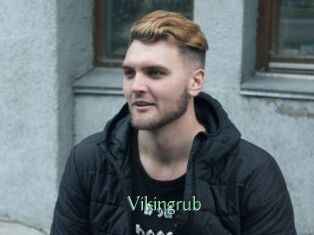 Vikingrub