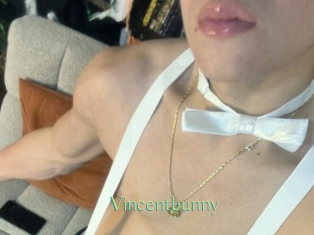 Vincentbunny