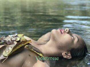 Violetrosse