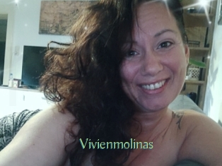 Vivienmolinas