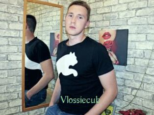 Vlossiecub
