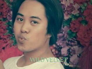 WILD_VELVET