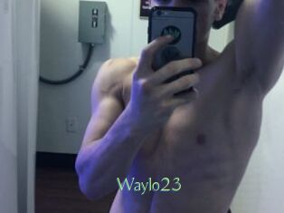 Waylo23