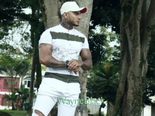 WayneBlack