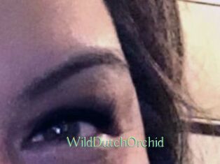 WildDutchOrchid