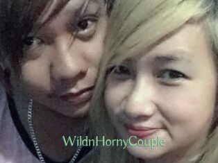 WildnHornyCouple