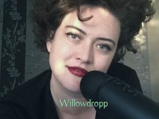 Willowdropp