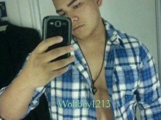 Wolfboy1213