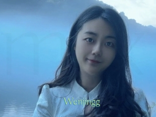 Wenjingg