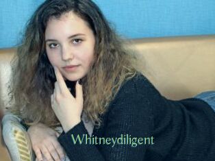 Whitneydiligent