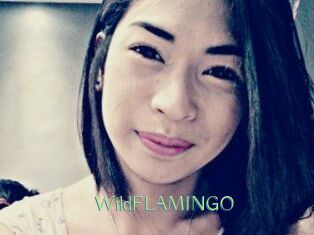 WildFLAMINGO