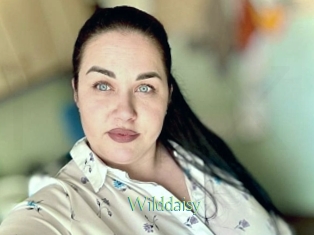 Wilddaisy