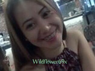 Wildflower69x