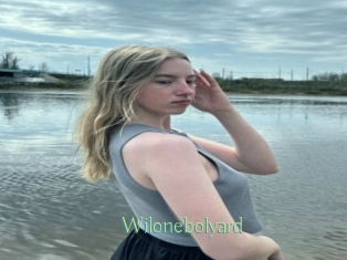 Wilonebolyard