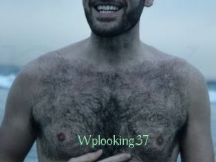Wplooking37