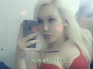 Xoxosnowbunny