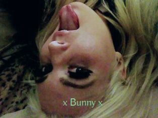 _x_Bunny_x_