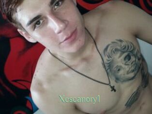 Xescanory1