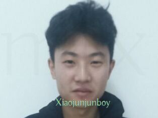 Xiaojunjunboy