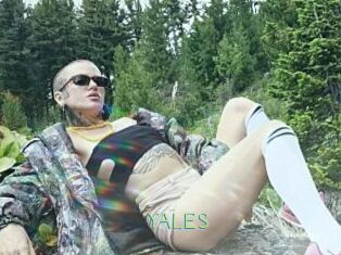 YALES