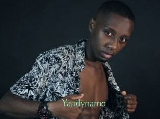 Yandynamo