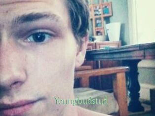 Youngbudstud