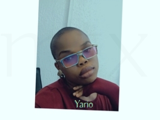 Yario