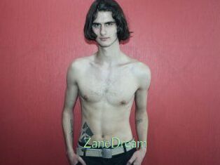 ZaneDream