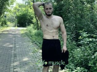 Zefs_muscle