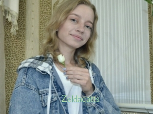 Zeldacatts