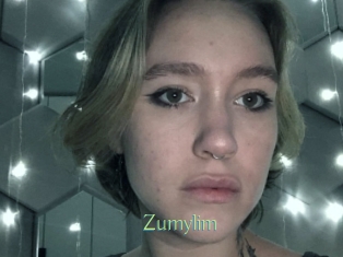 zumylim Motion X